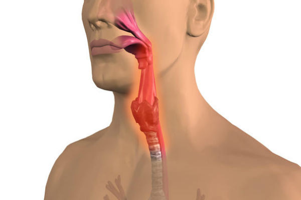 Ринофарингит — заболевание, связанное с воспалением слизистой оболочки носа и глотки