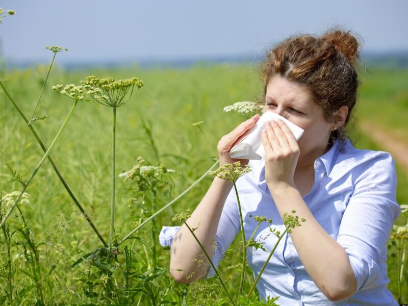 Аллергическая форма астмы