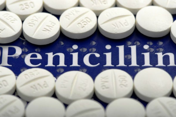 Источник пенициллина