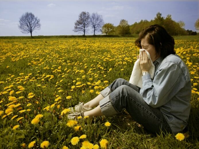 Аллергический насморк возникает как следствие контакта с аллергеном, например, при вдыхании пыльцы растений.