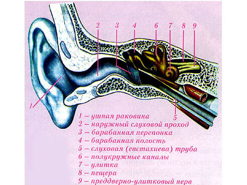 Отит внутреннего уха долго не проходит. Симптомы